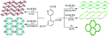 Graphical abstract: A variety of metal–organic and supramolecular networks constructed from a new flexible multifunctional building block bearing picolinate and terephthalate functionalities: hydrothermal self-assembly, structural features, magnetic and luminescent properties