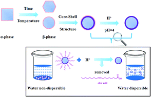Graphical abstract: Synthesis and characterization of upconversion nanoparticles with shell structure and ligand-free hydrophilic modification