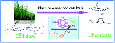 Graphical abstract: Sustainable conversion of cellulosic biomass to chemicals under visible-light irradiation