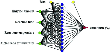 Graphical abstract: Lipase-catalyzed synthesis of dilauryl azelate ester: process optimization by artificial neural networks and reusability study