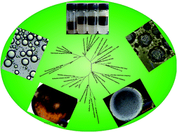 Graphical abstract: Characterization of crude oil degrading microbial cultures isolated in Qingdao China