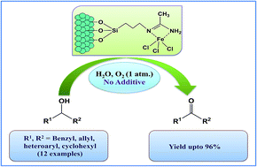 Graphical abstract: A novel iron(iii)-based heterogeneous catalyst for aqueous oxidation of alcohols using molecular oxygen