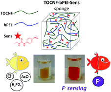 Graphical abstract: Dip in colorimetric fluoride sensing by a chemically engineered polymeric cellulose/bPEI conjugate in the solid state