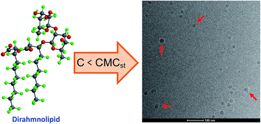 Graphical abstract: Aggregation of low-concentration dirhamnolipid biosurfactant in electrolyte solution