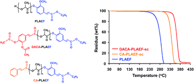 Graphical abstract: Thermally stable polylactides by stereocomplex formation and conjugation of both terminals with bio-based cinnamic acid derivatives