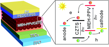 Graphical abstract: Cu2ZnSnS4 quantum dots as effective electron acceptors for hybrid solar cells with a broad spectral response