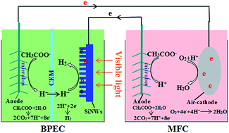 Graphical abstract: A solar assisted microbial electrolysis cell for hydrogen production driven by a microbial fuel cell