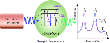 Graphical abstract: Optical temperature sensing of rare-earth ion doped phosphors