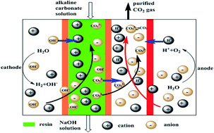 Graphical abstract: Retrieval of CO2 from a carbonate solution for its sequestration by a novel electrochemical decarbonizing and ingathering method