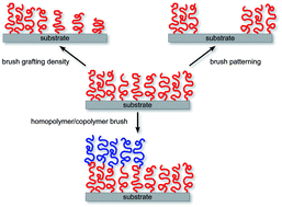 Graphical abstract: Creating surface patterns of polymer brushes by degrafting via tetrabutyl ammonium fluoride