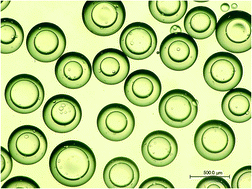 Graphical abstract: Fabrication of thick-walled polyacrylonitrile (PAN) with high uniformity by an easily assembled double-T droplet generator