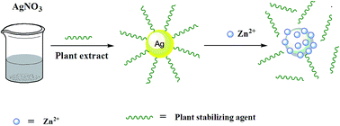 Graphical abstract: Biologically synthesized silver nanoparticle-based colorimetric sensor for the selective detection of Zn2+