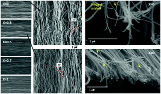 Graphical abstract: Controlled catalytic domain formation by mixed iron halide compounds to decrease the waviness of carbon nanotube arrays