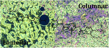 Graphical abstract: The influence of lateral fluorination and cyanation on the mesomorphism of polycatenar mesogens and the nature of the SmC phase therein