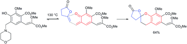 Graphical abstract: An ortho-quinone methide based strategy towards the rubromycin spiroketal family