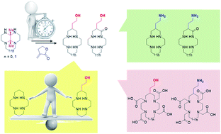 Graphical abstract: A [two-step/one week] synthesis of C-functionalized homocyclens and cyclams. Application to the preparation of conjugable BCAs without chelating properties alteration