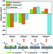 Graphical abstract: Architecture of modified silica resin coatings with various micro/nano patterns for fouling resistance: microstructure and antifouling performance