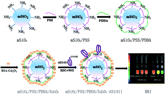 Graphical abstract: Fabrication of AS1411 aptamer functionalized Gd2O3-based molecular magnetic resonance imaging (mMRI) nanoprobe for renal carcinoma cell imaging