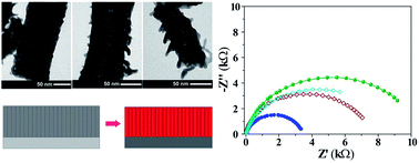 Graphical abstract: Controlled thermal nitridation resulting in improved structural and photoelectrochemical properties from Ta3N5 nanotubular photoanodes