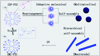 Graphical abstract: Light-controlled switching of the self-assembly of ill-defined amphiphilic SP-PAMAM