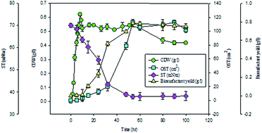 Graphical abstract: Physiochemical and thermodynamic characterization of lipopeptide biosurfactant secreted by Bacillus tequilensis HK01