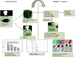 Graphical abstract: Degradation and detoxification of methylene blue dye adsorbed on water hyacinth in semi continuous anaerobic–aerobic bioreactors by novel microbial consortium-SB