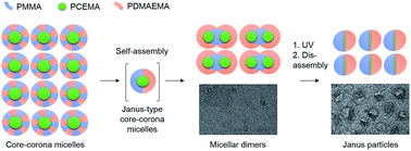 Graphical abstract: Polymeric Janus nanoparticles from triblock terpolymer micellar dimers