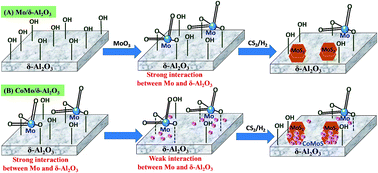 Graphical abstract: Effect of promoters on the HDS activity of alumina-supported Co–Mo sulfide catalysts