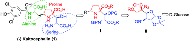 Graphical abstract: d-Glucose based synthesis of proline–serine C–C linked central and right hand core of a kaitocephalin-a glutamate receptor antagonist