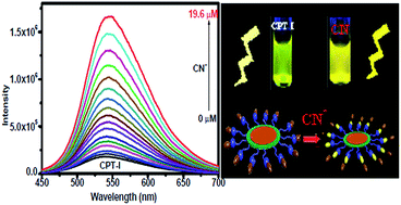 Graphical abstract: Cationic polythiophene for specific detection of cyanide ions in water using fluorometric technique