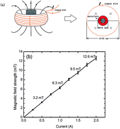 Graphical abstract: Influence of magnetic fields on the morphology and pseudocapacitive properties of NiO on nickel foam