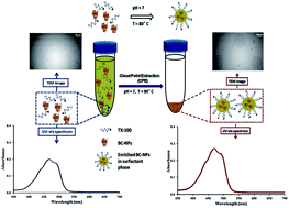 Graphical abstract: Preconcentration and determination of β-carotene nanoparticles in fruit and juice samples based on a micelle mediated system