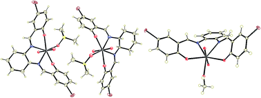 Graphical abstract: Synthesis, spectral characterization, structural studies, molecular docking and antimicrobial evaluation of new dioxidouranium(vi) complexes incorporating tetradentate N2O2 Schiff base ligands