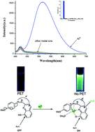 Graphical abstract: A novel turn-on Schiff-base fluorescent sensor for aluminum(iii) ions in living cells