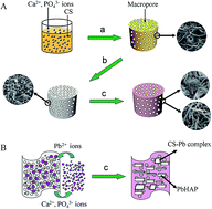 Graphical abstract: Bioinspired fabrication and lead adsorption property of nano-hydroxyapatite/chitosan porous materials
