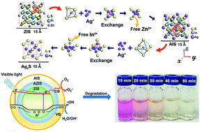 Graphical abstract: Visible-light-driven dye degradation using a floriated ZnIn2S4/AgIn5S8 heteromicrosphere catalyst
