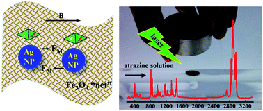 Graphical abstract: Facile solvothermal synthesis of Ag/Fe3O4 nanocomposites and their SERS applications in on-line monitoring of pesticide contaminated water