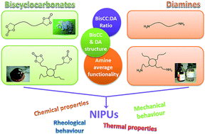 Graphical abstract: Solvent- and catalyst-free synthesis of fully biobased nonisocyanate polyurethanes with different macromolecular architectures