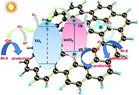 Graphical abstract: Construction of heterostructured TiO2/InVO4/RGO microspheres with dual-channels for photo-generated charge separation