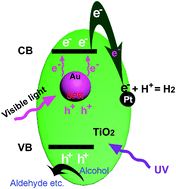 Graphical abstract: Au/Pt co-loaded ultrathin TiO2 nanosheets for photocatalyzed H2 evolution by the synergistic effect of plasmonic enhancement and co-catalysis