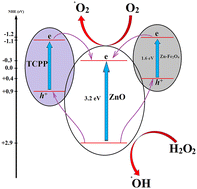 Graphical abstract: Catalytic oxidation of primary and secondary alcohols over a novel TCPP/Zn–Fe2O4@ZnO catalyst