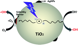 Graphical abstract: Controllable synthesis of Ag@TiO2 heterostructures with enhanced photocatalytic activities under UV and visible excitation