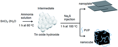 Graphical abstract: Synthesis of surfactant-free SnS nanoplates in an aqueous solution