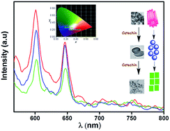 Graphical abstract: Catechin assisted phase and shape selection for luminescent LaVO4 zircon