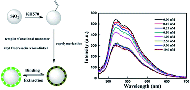 Graphical abstract: Detection of nonfluorescent cyhalothrin in honey by a spheral SiO2-based particle coating with thin fluorescent molecularly imprinted polymers film