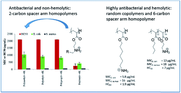 Graphical abstract: Structure–property relationships of antibacterial amphiphilic polymers derived from 2-aminoethyl acrylate