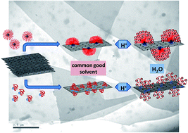 Graphical abstract: Colloidal stabilization of graphene sheets by ionizable amphiphilic block copolymers in various media