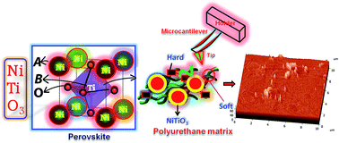 Graphical abstract: Enhancement of the physicochemical properties of polyurethane–perovskite nanocomposites via addition of nickel titanate nanoparticles