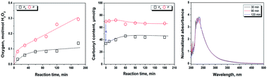 Graphical abstract: New evidence for the role of the borohydride pretreatment on the hydrogen peroxide bleaching of kraft pulp