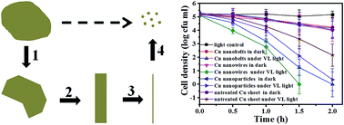 Graphical abstract: Direct transformation of metallic copper to copper nanostructures by simple alcohol thermal treatment and their photoactivity